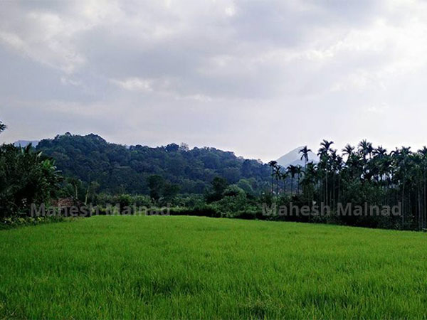 .ಸದ್ಯಕ್ಕೆ ಅಲ್ಪ ವಿರಾಮ..