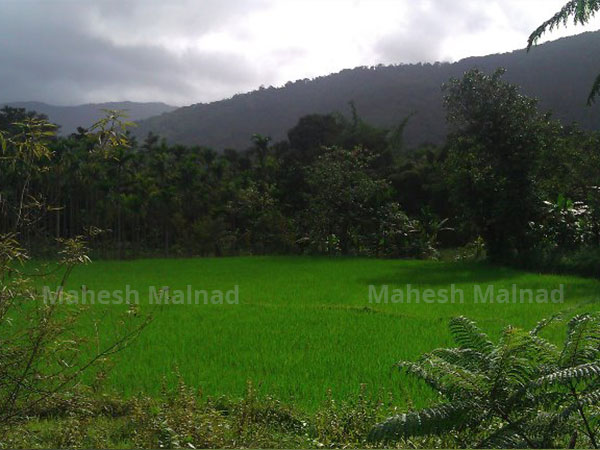ನನಗರಿವಿಲ್ಲದ್ದಂತೆ ಹುಡುಕಿದ್ದು ಉಂಟು