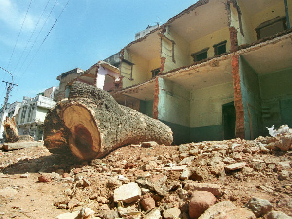 ಧರೆಗುರುಳಿದ ಮರಗಳು