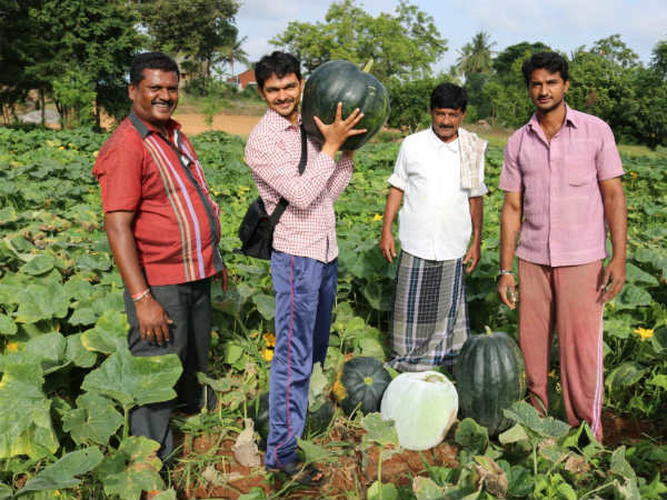 ಗಂಗಣ್ಣನವರ ಕೃಷಿ ತಂತ್ರ