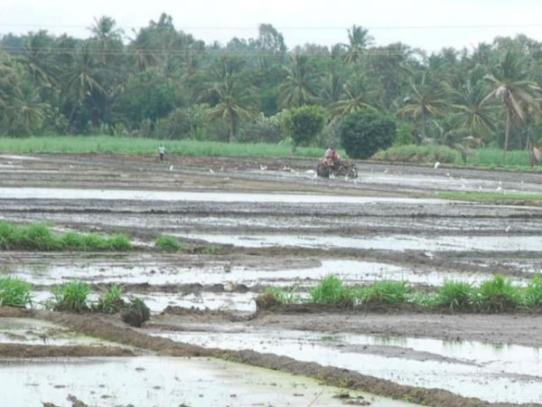 ಸರಕಾರದ ಸಲಹೆ ನಿರ್ಲಕ್ಷ್ಯ