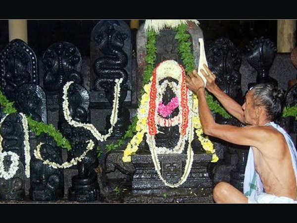 ರಾಕ್ಷಸ ಶಕ್ತಿಯ ನಾಶಕ್ಕೆ ಹೋಮ