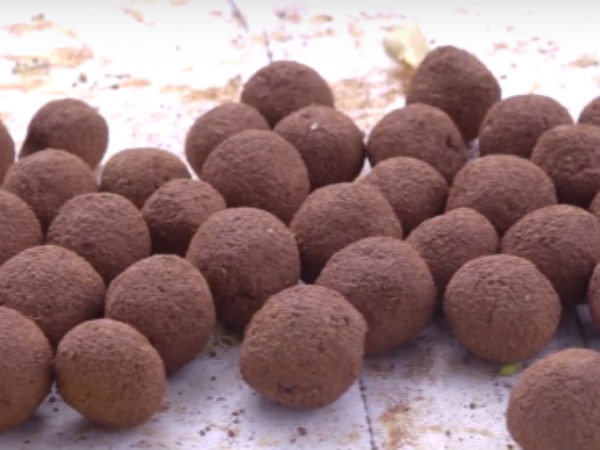 ಸೀಡ್ ಬಾಲ್ ನಂತರ ಸೀಡ್ ಪೆನ್