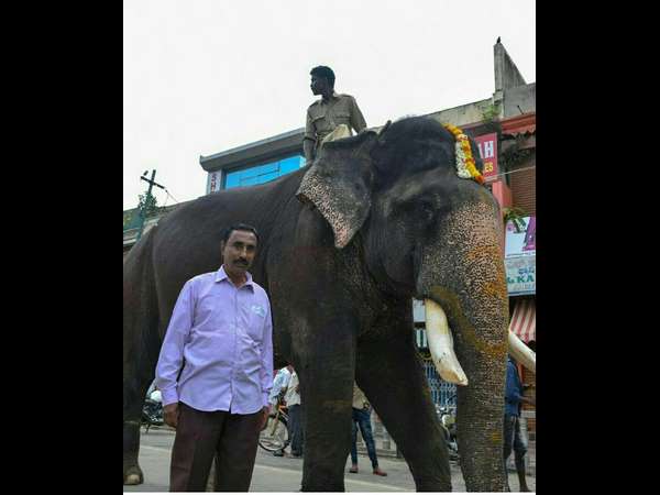 ಸಾಮಾಜಿಕ ಕಾರ್ಯಕ್ಕೂ ಸೈ!
