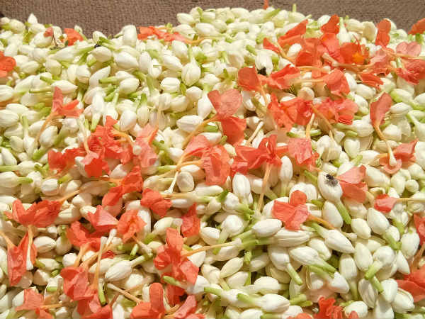 ಮಲ್ಲಿಗೆಯೊಂದಿಗೆ ಬೆಳದಿಂಗಳ ನೆನಪು