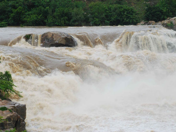 ವಿಜಯ ರಾಘವೇಂದ್ರ ಚಾಲನೆ