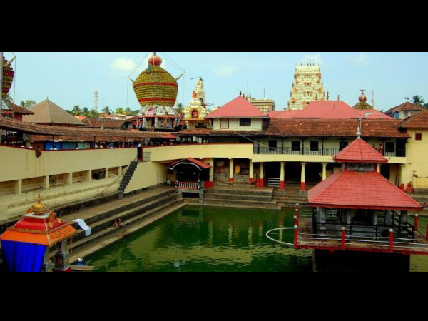 ಪ್ರತಿ ದಿನ 24 ಟನ್ ಕಟ್ಟಿಗೆ