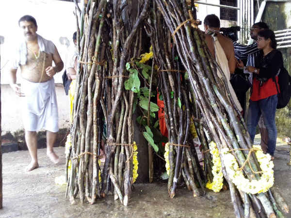 ವರ್ಷಕ್ಕೆ ಅಂದಾಜು 300 ಟನ್ ಕಟ್ಟಿಗೆ