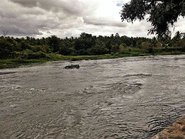 ಉಚಿತ ಉಪಹಾರ ವ್ಯವಸ್ಥೆ