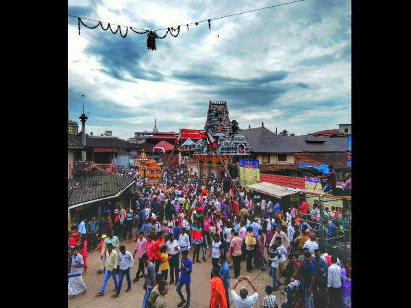 ರಂಗು ತಂದ ಹುಲಿವೇಷ