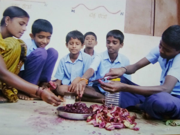 ನೆಲ್ಲಿ, ನೇರಳೆಯಂತಹ ಹಣ್ಣುಗಳಿಂದ ರಸ
