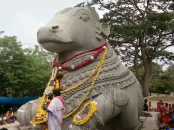 ಯಾವುದೇ ರಾಸಾಯನಿಕ ಬಳಸಿಲ್ಲ