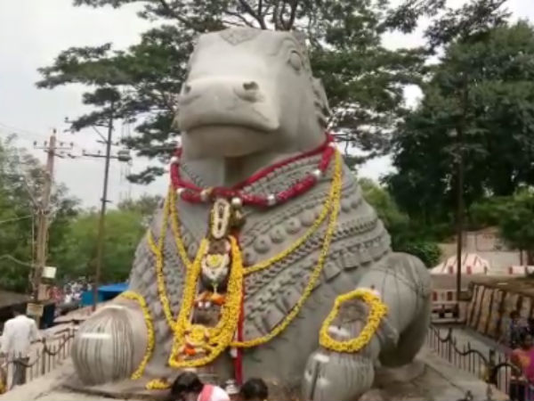 ಕೊಬ್ಬರಿಯನ್ನು ಉಜ್ಜಿ ರಕ್ಷಣೆ