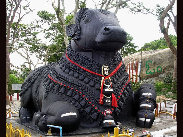 ವಾಟರ್ ಜೆಟ್ ಬಳಕೆ