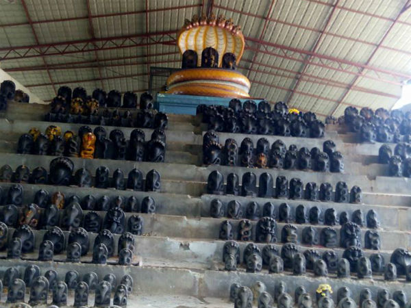 ನಾಗ ಪ್ರತಿಷ್ಠೆ