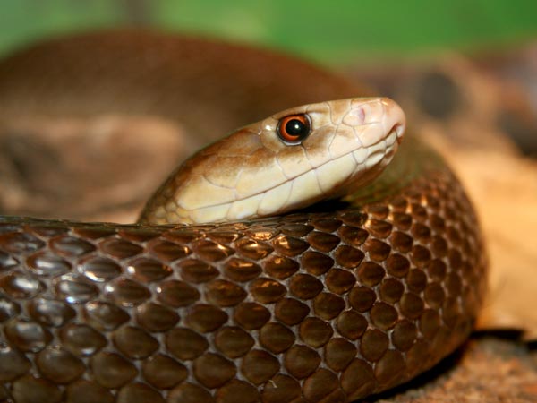 ಮಲಿನ ಮಾಡಿದ್ದರೆ ದೋಷ