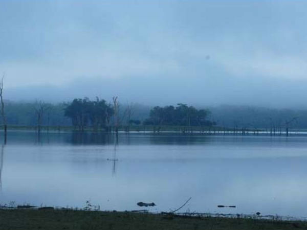 ಅರಣ್ಯ ಅಧಿಕಾರಿಗಳಿಗೆ ಸೂಚನೆ