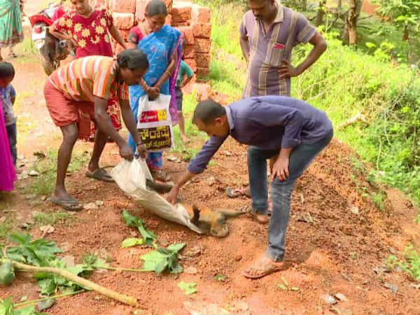 ಮಾನವನ ಕ್ರೂರ ಕೃತ್ಯಕ್ಕೆ ಬಲಿ