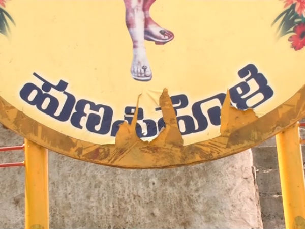 1000ಕ್ಕೂ ಹೆಚ್ಚು ಕೋತಿಗಳಿವೆ