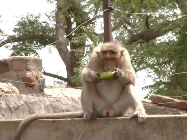 ಕ್ರಮ ಕೈಗೊಳ್ಳುತ್ತೇವೆ