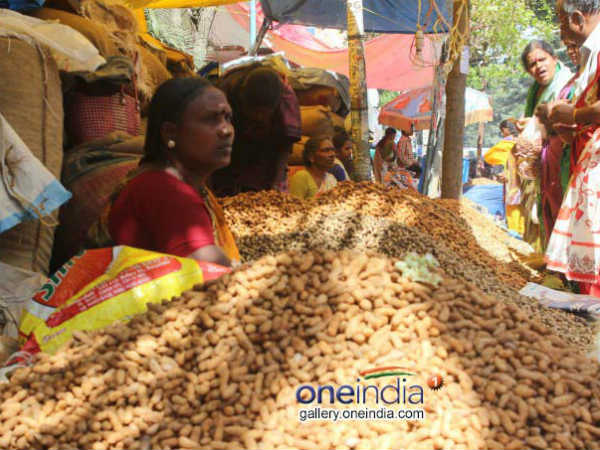 ಕಡಲೆಕಾಯಿ ಪರಿಷೆ, ಜಾತ್ರೆ