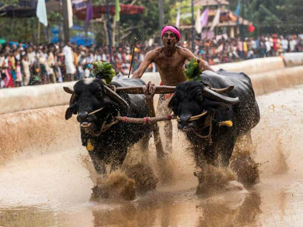 ತುಂಬಿ ತುಳುಕಿದ ಗ್ಯಾಲರಿ