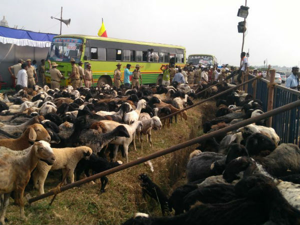 ಕುರಿ ಕಾಯ್ದ ಪೊಲೀಸರು