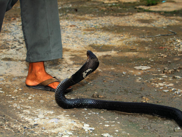 ಪರಿಹಾರ ಬೇಕಿದ್ದರೆ ಸಾಯಲೇ ಬೇಕಾ?