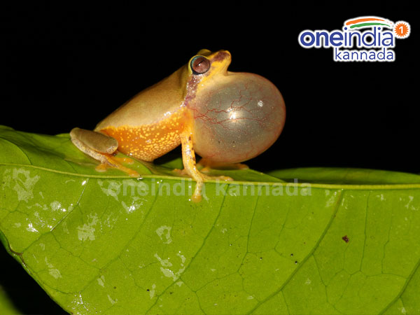 ಗ್ಲೋಬಲ್ ಎನ್ವಿರಾನ್ಮೆಂಟ್ ಸಮ್ಮಿಟ್