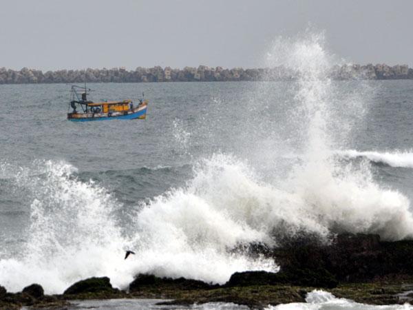 ನಿಶಾ- 2008