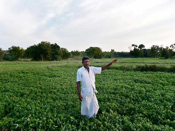 ತೋಟಗಾರಿಕೆಗೆ 1,525 ಲಕ್ಷ ಸಹಾಯಧನ