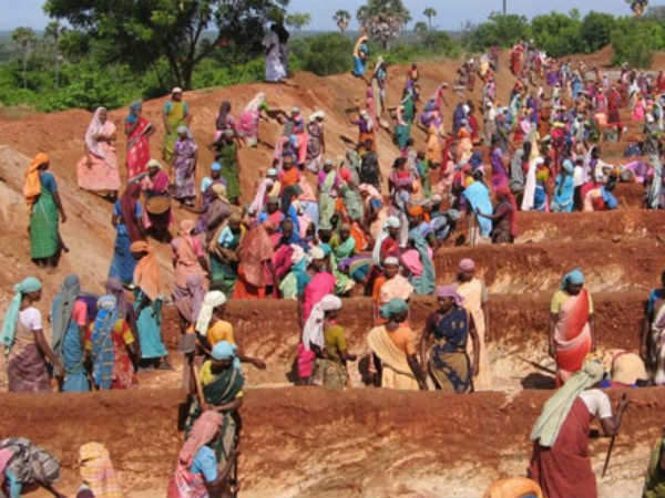 4,43,710 ಕೂಲಿಕಾರರಿಗೆ ಉದ್ಯೋಗ