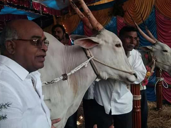 ಪಕ್ಷೇತರರಾಗಿ ಸ್ಪರ್ಧಿಸಿದ್ದರು