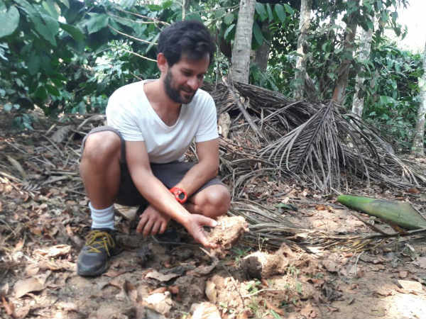 ಸಾವಯವ ಕಾಫಿಗೆ ಬೇಡಿಕೆ
