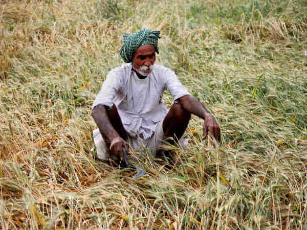 ಆತ್ಮಹತ್ಯೆ ಈಗ ಕಡಿಮೆ ಆಗಿದೆ