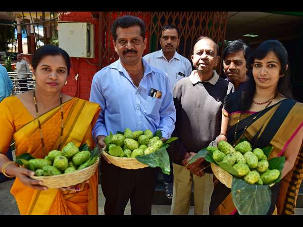 ಅಮೃತನೋನಿ ಹಣ್ಣಿಗೆ ಮುರಿದ ಎಲುಬನ್ನೂ ಜೋಡಿಸುವ ಶಕ್ತಿ ಇದೆ