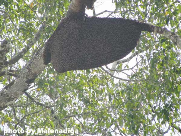 ಜಿಲ್ಲೆಯ ಪ್ರಮುಖ ಸಮಸ್ಯೆಗಳೇನು?