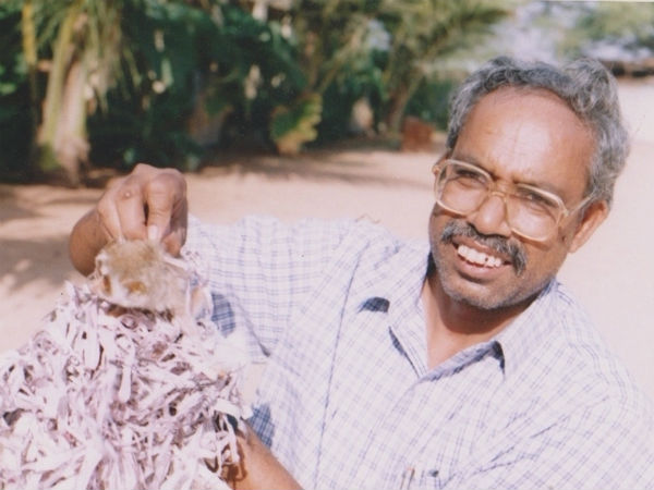 ಇಪ್ಪತ್ತು ವರ್ಷಗಳ ನಂತರ ಕಾಡುಪಾಪದ ದರ್ಶನ