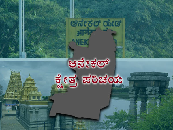 ಆನೇಕಲ್ ಸಮಸ್ಯೆಗಳ ಆಗರ