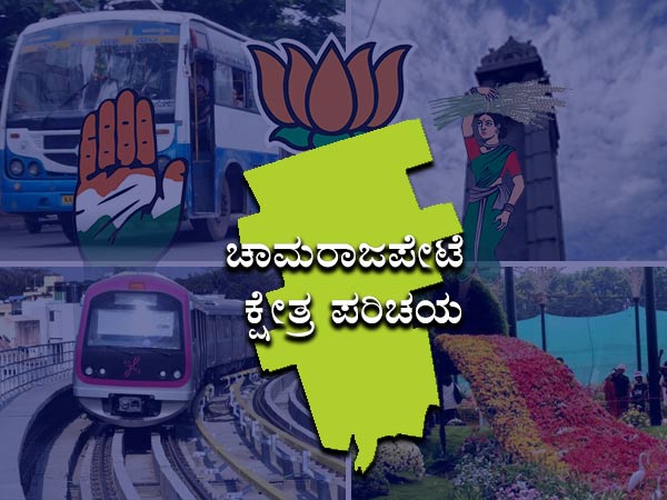 2013ರ ಫಲಿತಾಂಶ