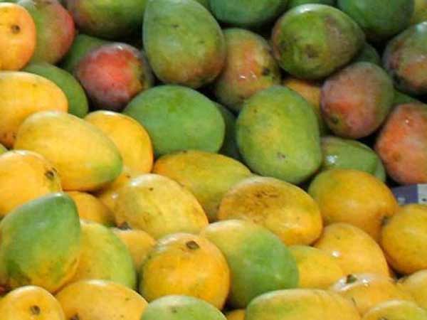 ಮಾರುಕಟ್ಟೆ ಸಿದ್ಧತೆ ಹೇಗಿದೆ