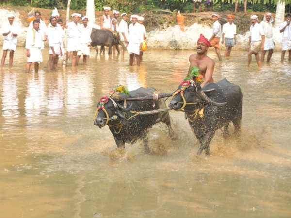ಬಿಜೆಪಿಯ ಬಿಟ್ಟು ಕೈ ಹಿಡಿದ ಕರಾವಳಿ
