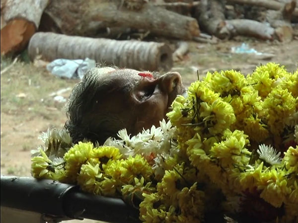 ಉಡುಪಿಯ ಬೀಡಿನಗುಡ್ಡೆಯಲ್ಲಿ ಅಂತ್ಯ ಸಂಸ್ಕಾರ