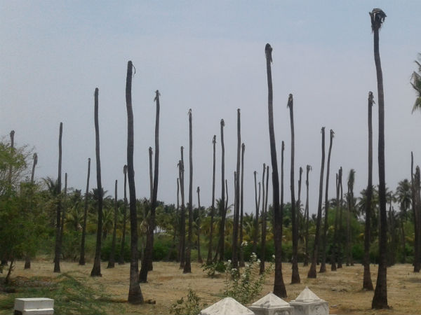ರೈತರಿಗೆ ಬೇಸರ
