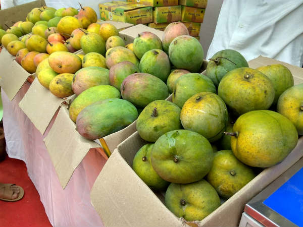 ರಾಮನಗರಕ್ಕೆ ಎರಡನೇ ಸ್ಥಾನ