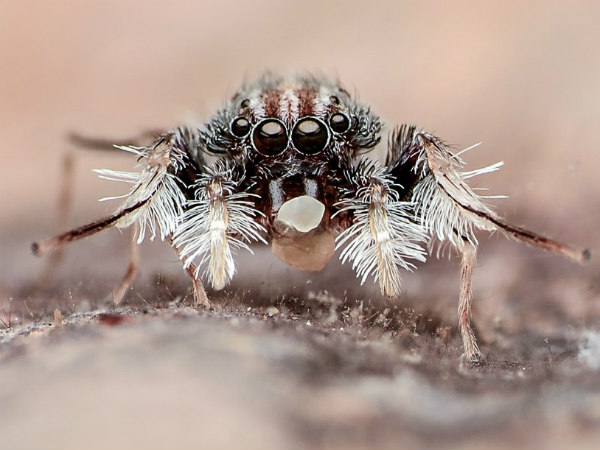 ಒಂದು ವರ್ಷದೊಳಗೆ ಮುಕ್ತಾಯ