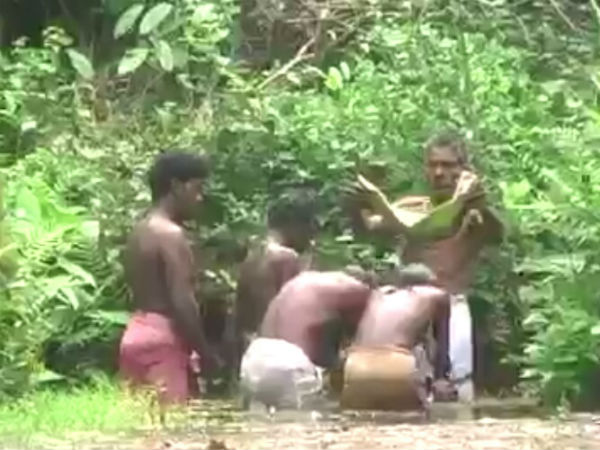 ಪ್ರತ್ಯೇಕ ಮುಳ್ಳಿನ ಗಿಡವನ್ನು ಬಳಸುತ್ತಾರೆ