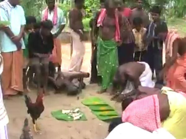 ದೇವಿಗೆ ಕಾಣಿಕೆ, ಕೋಳಿ ಅರ್ಪಣೆ