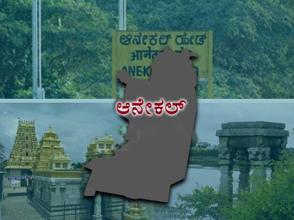 ಶೇ 4.91ರಷ್ಟು ಕಡಿಮೆ ಮತದಾನ