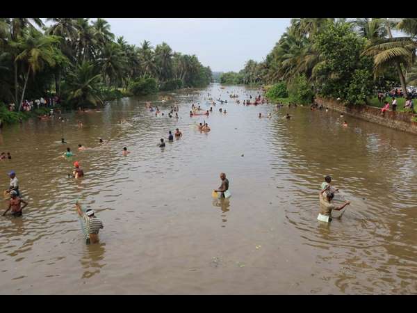 ಮೀನು ಹಿಡಿಯುವುದರಲ್ಲಿ ನಿರತ